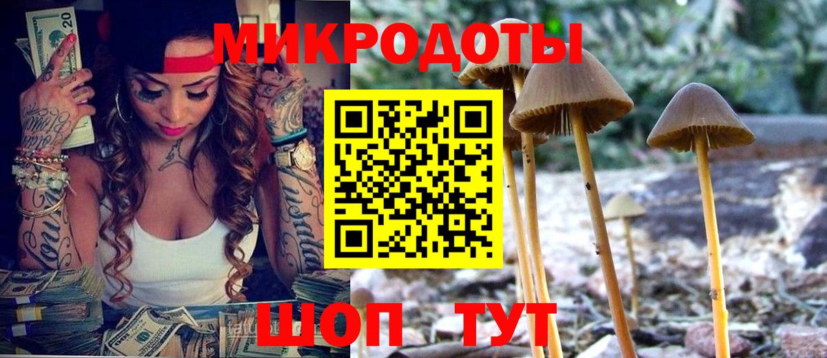 Галлюциногенные грибы GOLDEN TEACHER Йошкар-Ола