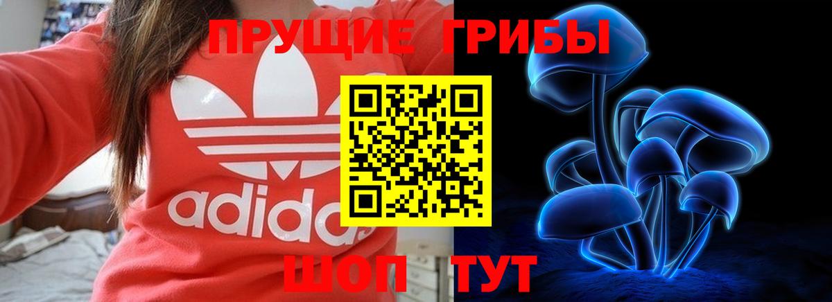 Йошкар-Ола  Галлюциногенные грибы GOLDEN TEACHER  Вход с VPN  Псилоцибиновые грибы GOLDEN TEACHER 